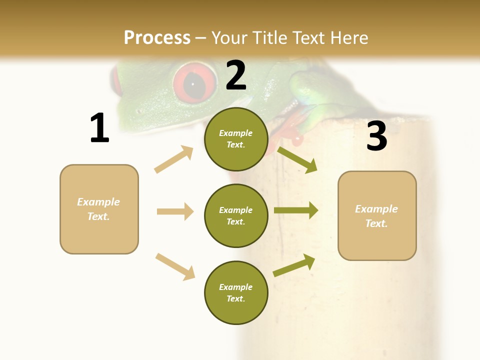 Amphibian Red Eyed Tree Frog Isolated PowerPoint Template