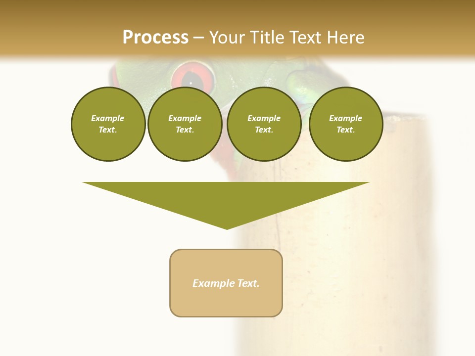 Amphibian Red Eyed Tree Frog Isolated PowerPoint Template