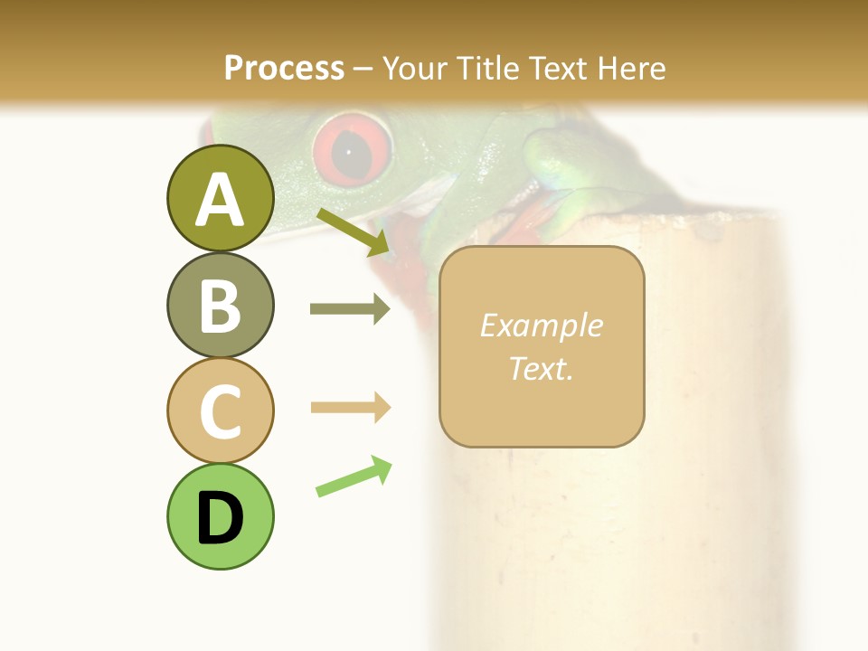 Amphibian Red Eyed Tree Frog Isolated PowerPoint Template