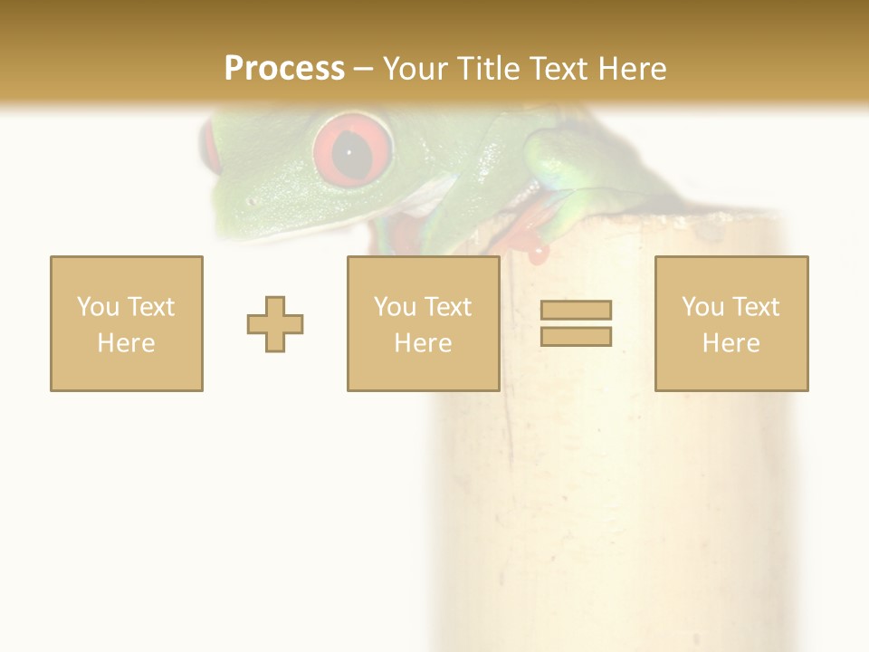 Amphibian Red Eyed Tree Frog Isolated PowerPoint Template