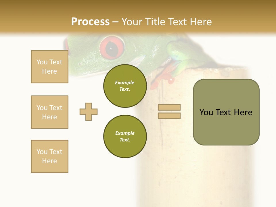 Amphibian Red Eyed Tree Frog Isolated PowerPoint Template
