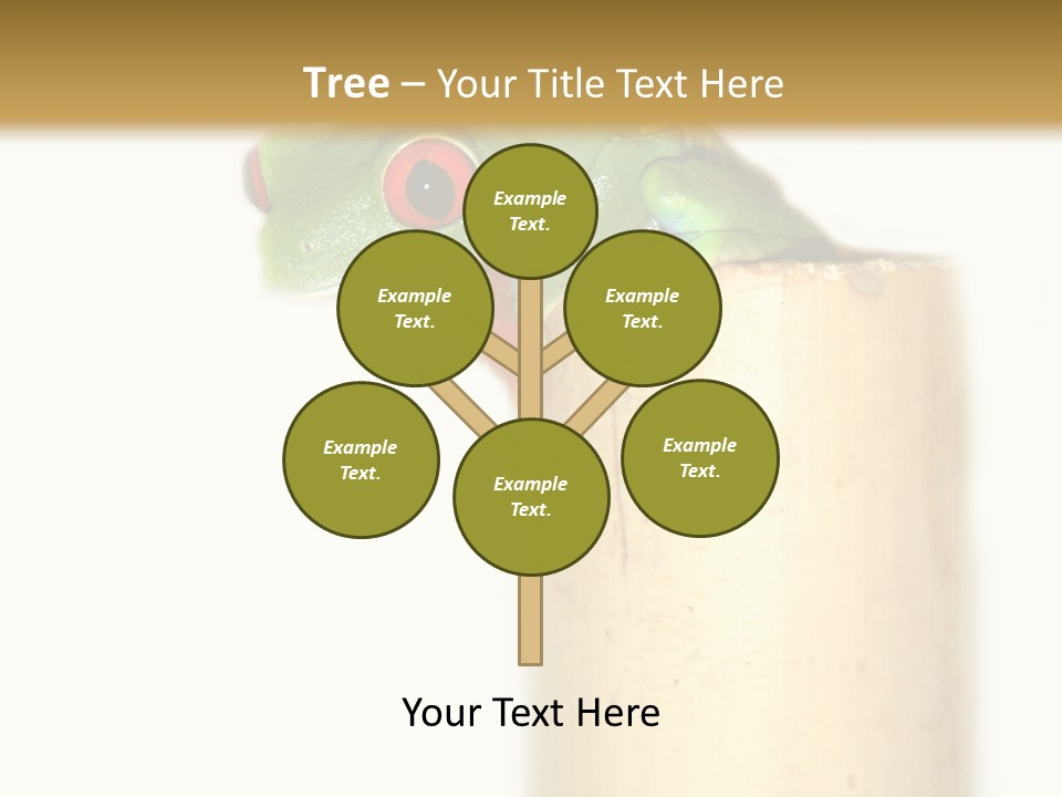 Amphibian Red Eyed Tree Frog Isolated PowerPoint Template