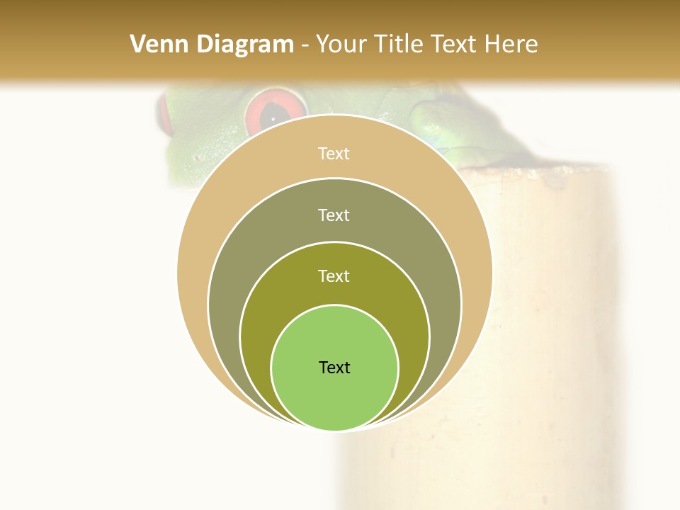 Amphibian Red Eyed Tree Frog Isolated PowerPoint Template