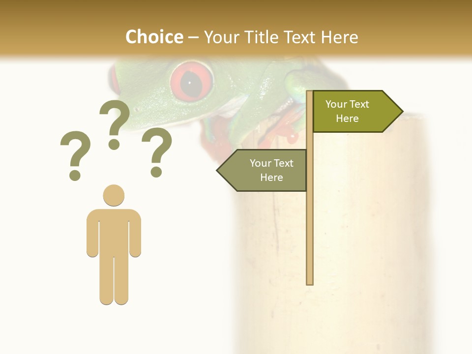 Amphibian Red Eyed Tree Frog Isolated PowerPoint Template