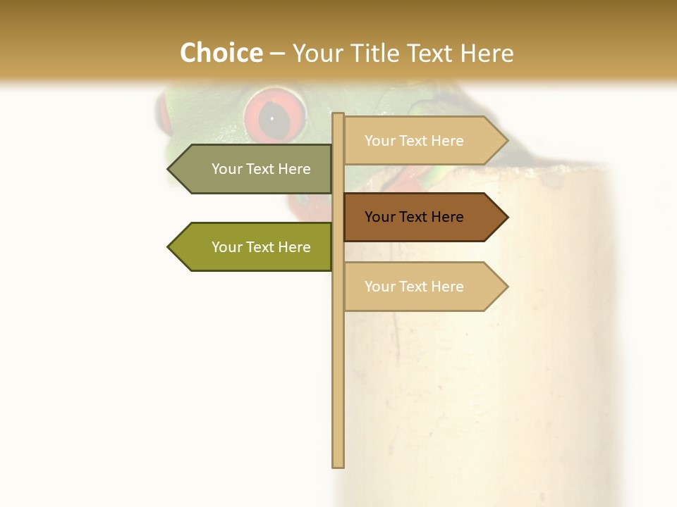 Amphibian Red Eyed Tree Frog Isolated PowerPoint Template