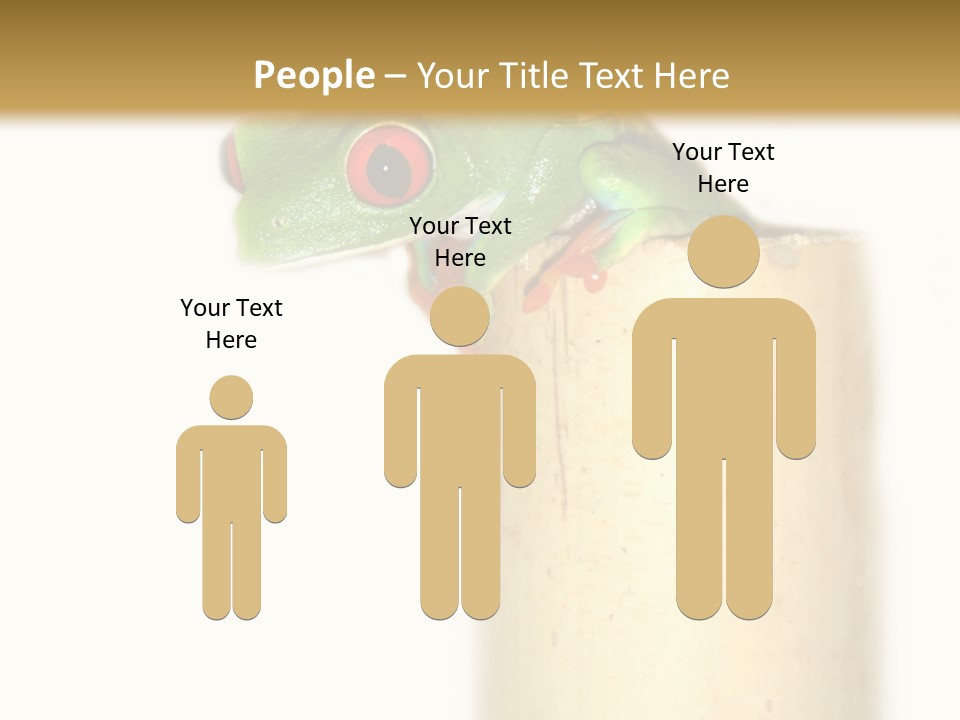 Amphibian Red Eyed Tree Frog Isolated PowerPoint Template