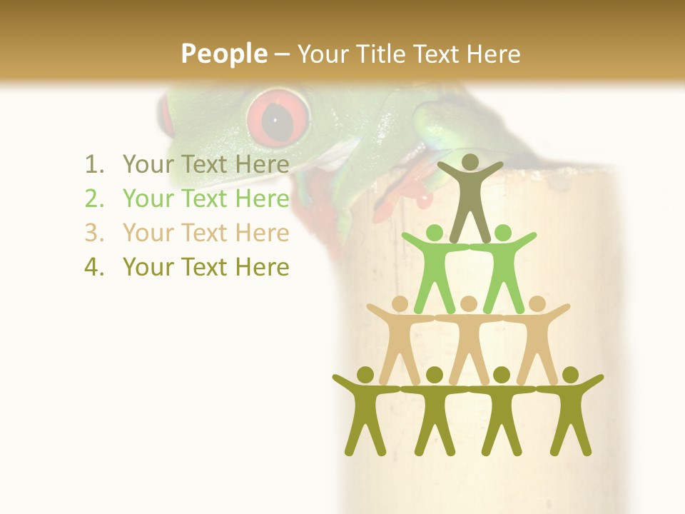 Amphibian Red Eyed Tree Frog Isolated PowerPoint Template