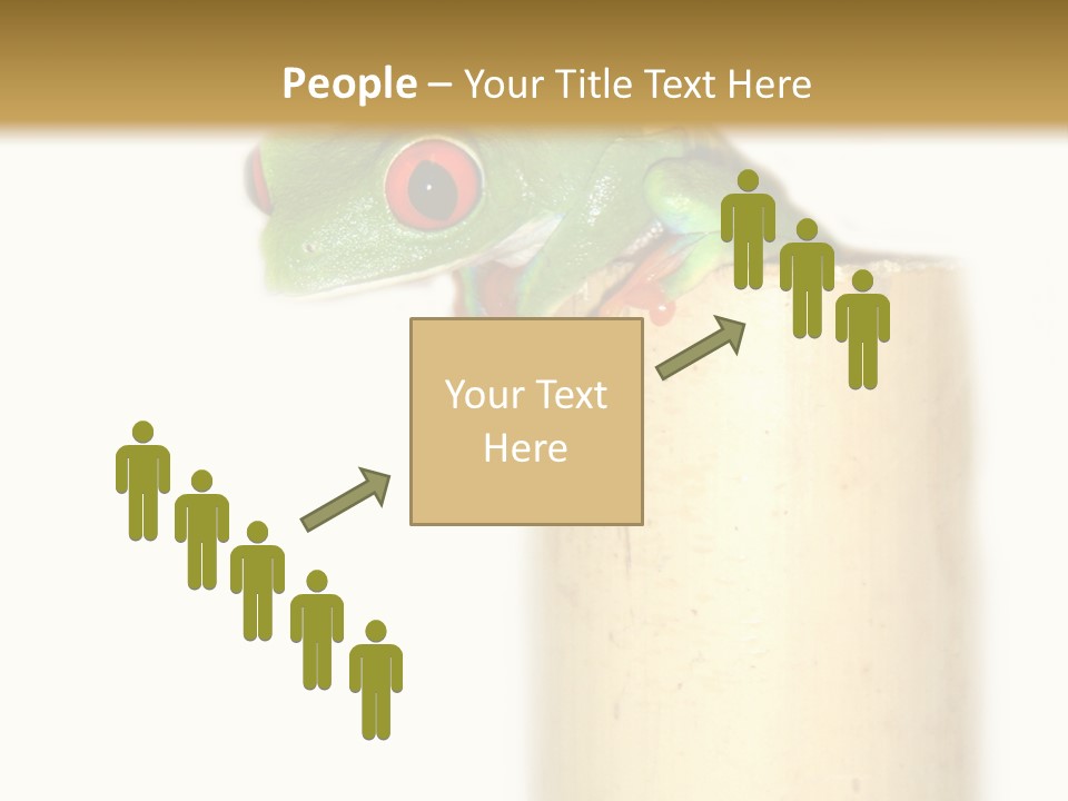 Amphibian Red Eyed Tree Frog Isolated PowerPoint Template