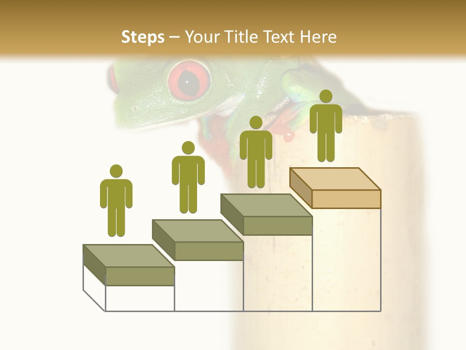 Amphibian Red Eyed Tree Frog Isolated PowerPoint Template