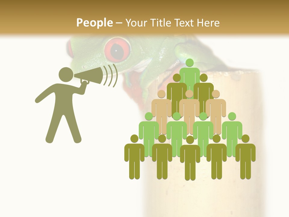 Amphibian Red Eyed Tree Frog Isolated PowerPoint Template