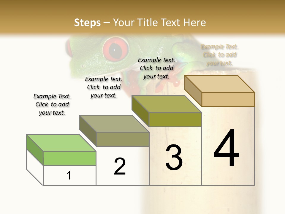 Amphibian Red Eyed Tree Frog Isolated PowerPoint Template