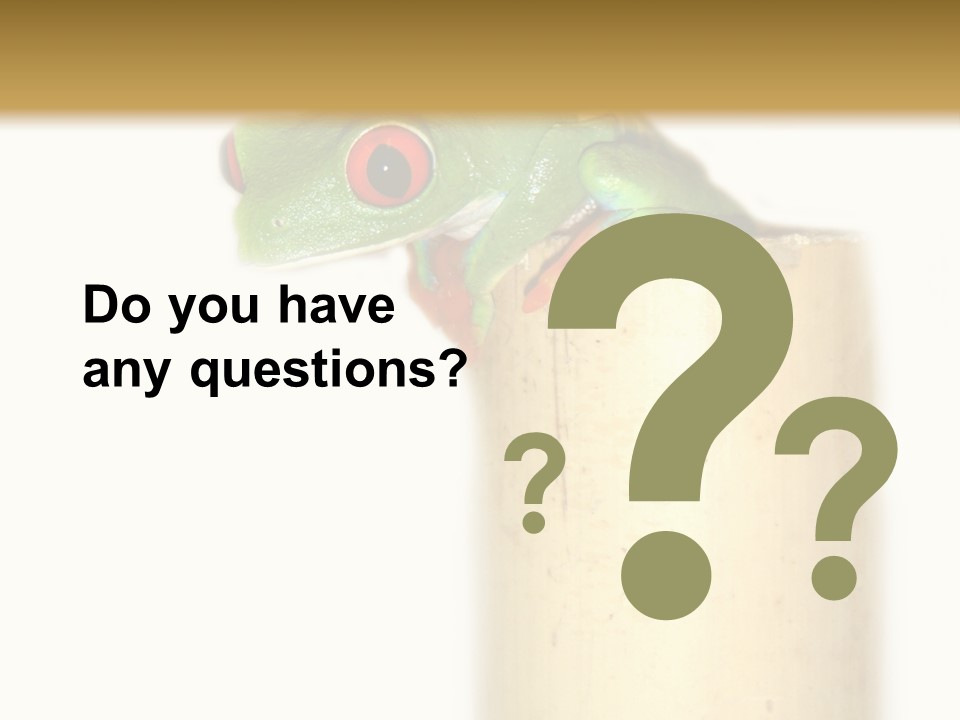 Amphibian Red Eyed Tree Frog Isolated PowerPoint Template