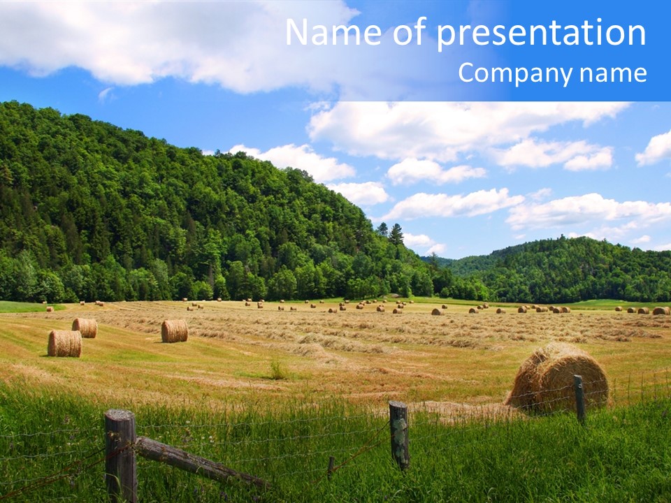 Food Wheat Haystack PowerPoint Template