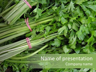 Vegetable Green Leaf Food PowerPoint Template