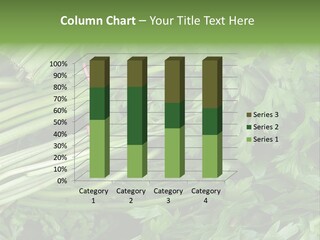 Vegetable Green Leaf Food PowerPoint Template