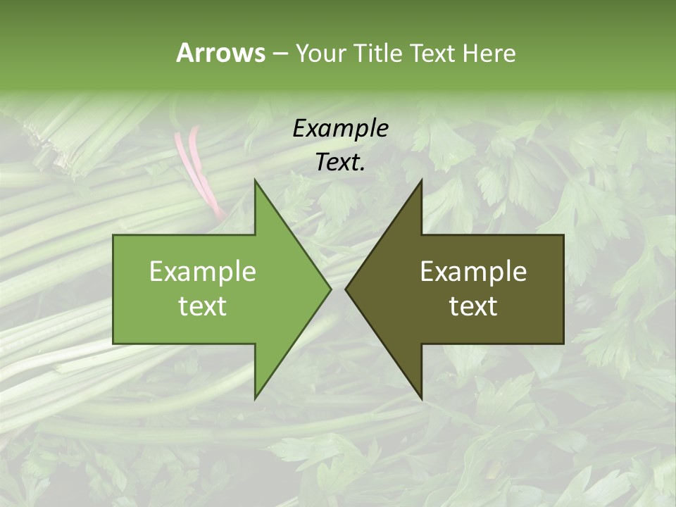 Vegetable Green Leaf Food PowerPoint Template