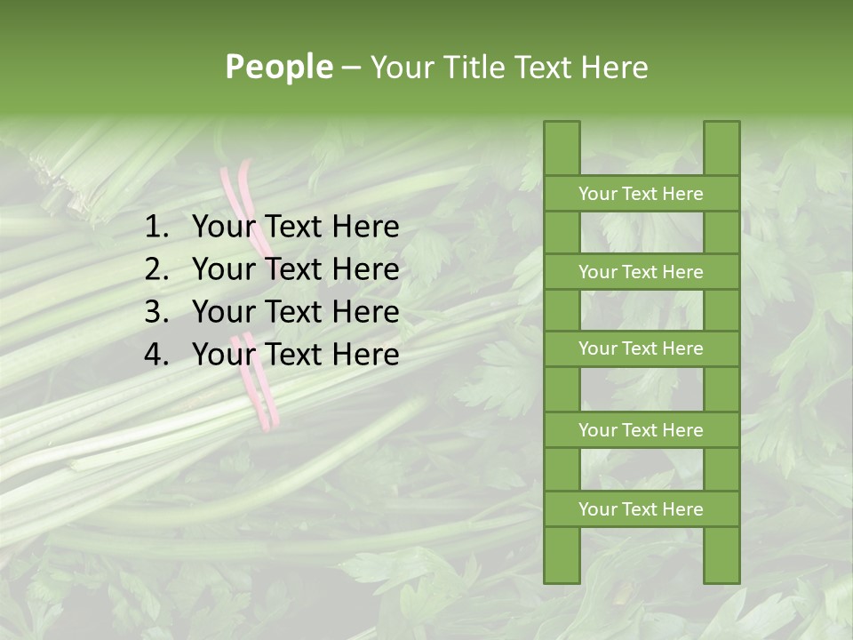 Vegetable Green Leaf Food PowerPoint Template