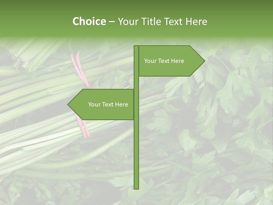 Vegetable Green Leaf Food PowerPoint Template
