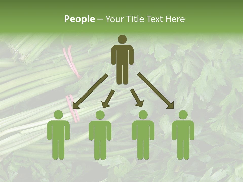 Vegetable Green Leaf Food PowerPoint Template