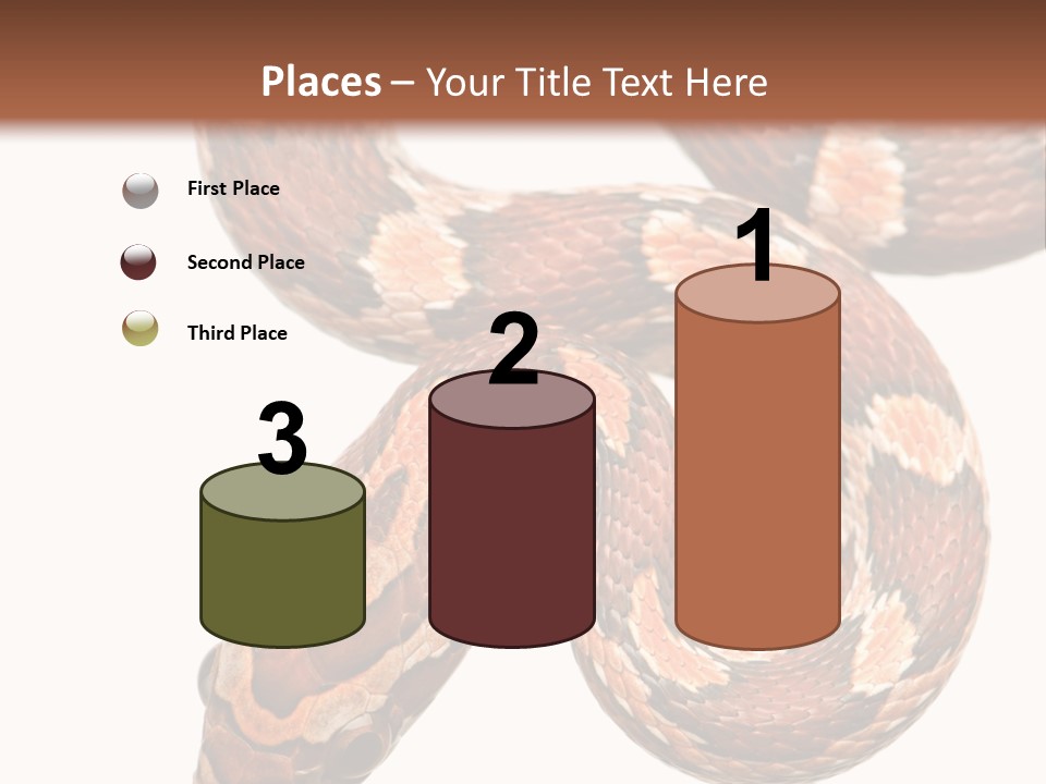 Red Rat Snake Isolated Slither PowerPoint Template