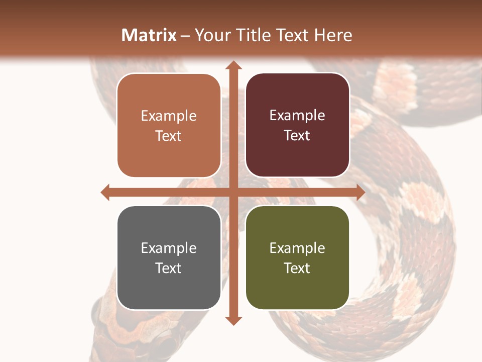 Red Rat Snake Isolated Slither PowerPoint Template