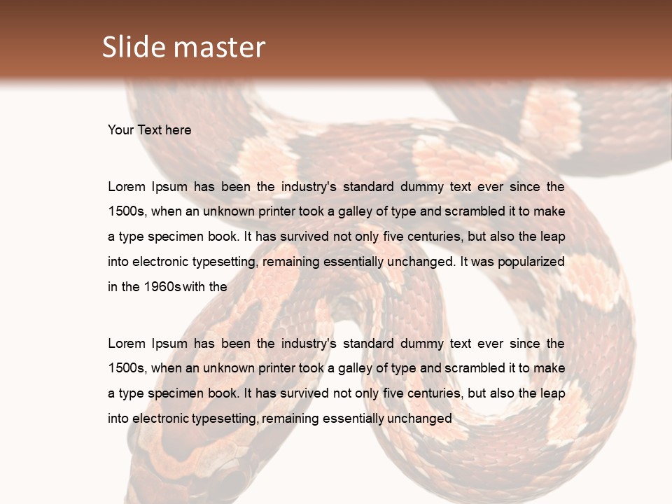 Red Rat Snake Isolated Slither PowerPoint Template