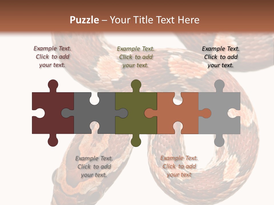 Red Rat Snake Isolated Slither PowerPoint Template