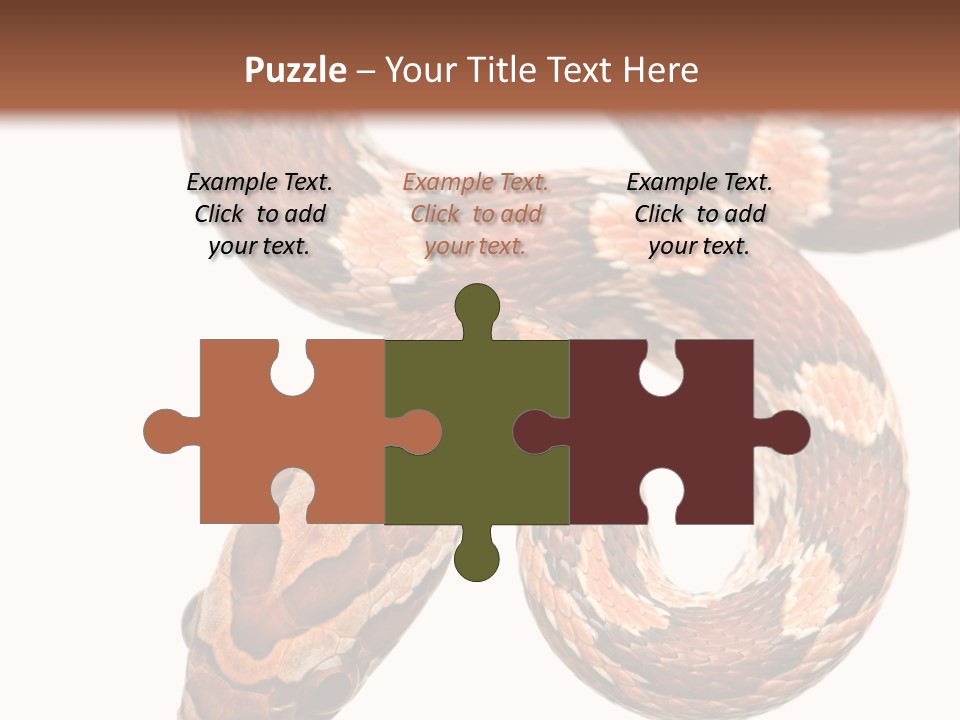 Red Rat Snake Isolated Slither PowerPoint Template