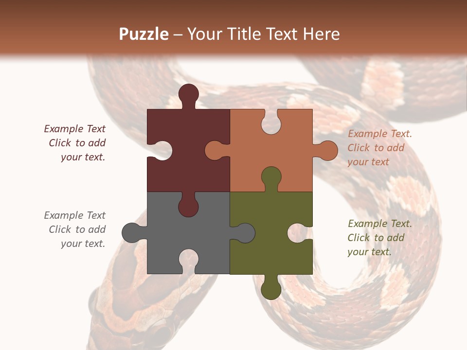 Red Rat Snake Isolated Slither PowerPoint Template