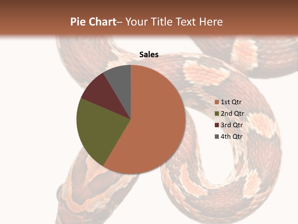 Red Rat Snake Isolated Slither PowerPoint Template