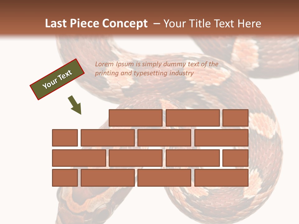 Red Rat Snake Isolated Slither PowerPoint Template
