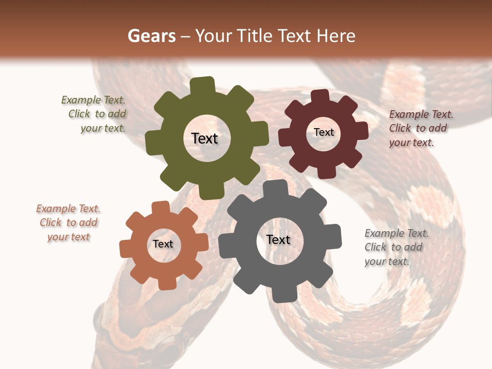 Red Rat Snake Isolated Slither PowerPoint Template