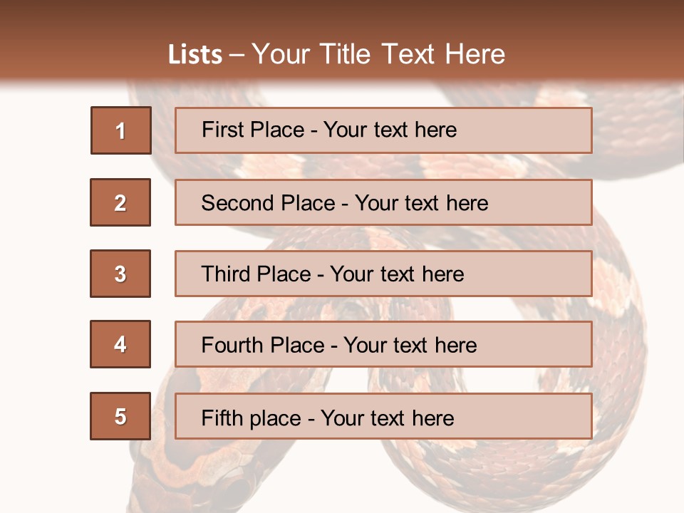Red Rat Snake Isolated Slither PowerPoint Template