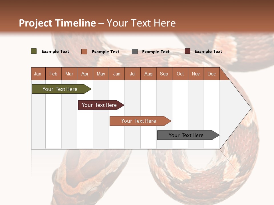 Red Rat Snake Isolated Slither PowerPoint Template