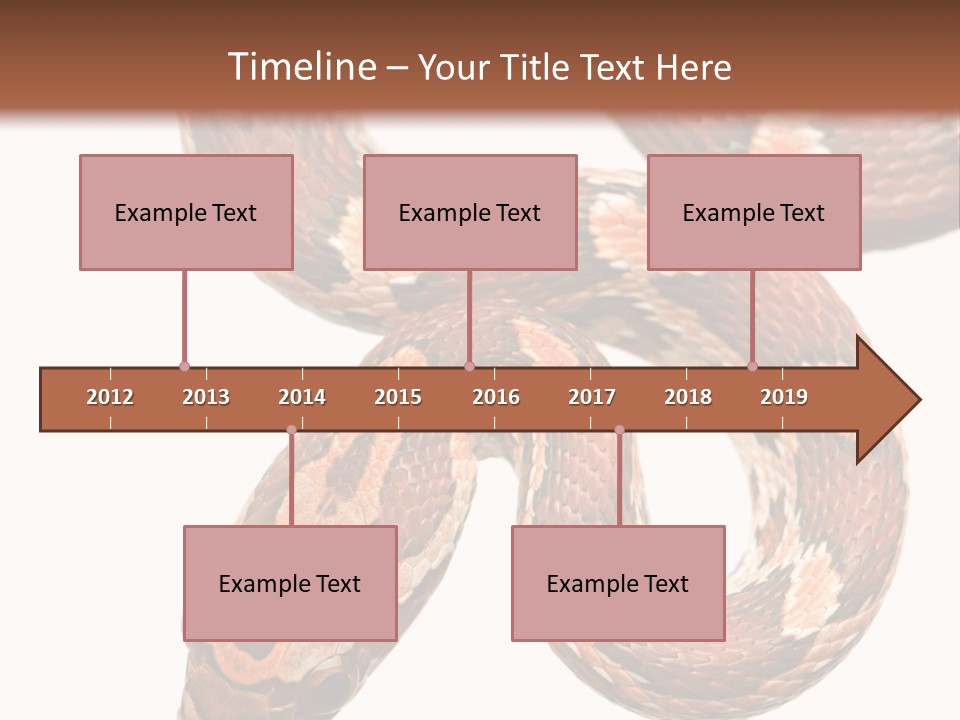 Red Rat Snake Isolated Slither PowerPoint Template