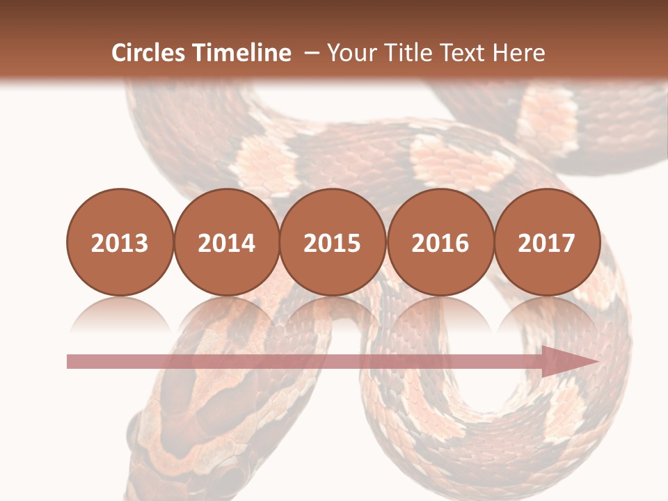Red Rat Snake Isolated Slither PowerPoint Template