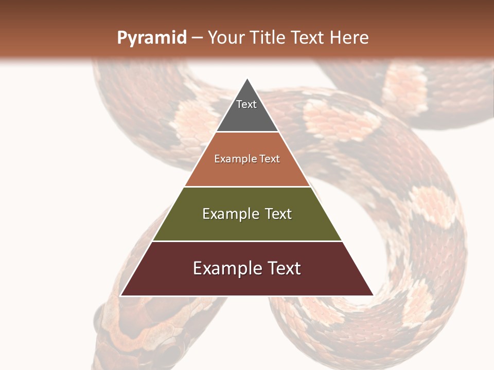 Red Rat Snake Isolated Slither PowerPoint Template