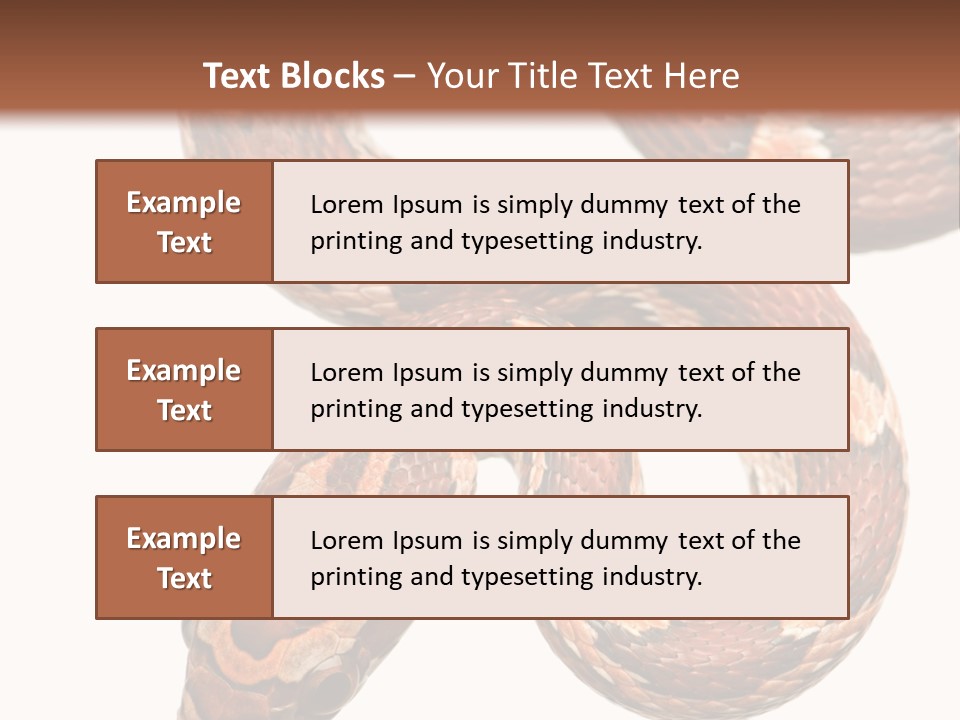 Red Rat Snake Isolated Slither PowerPoint Template