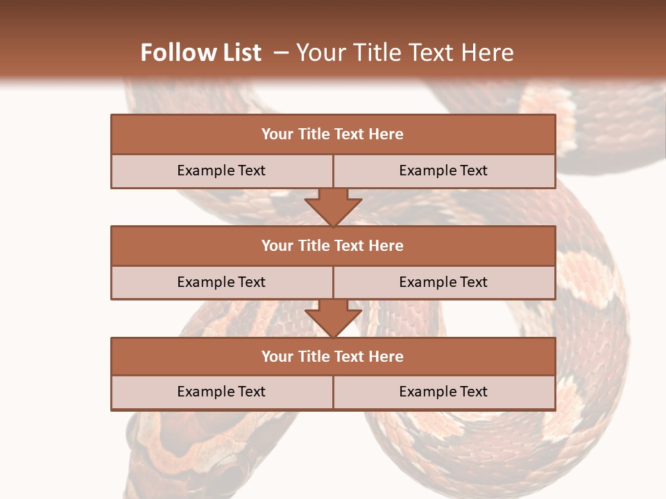 Red Rat Snake Isolated Slither PowerPoint Template