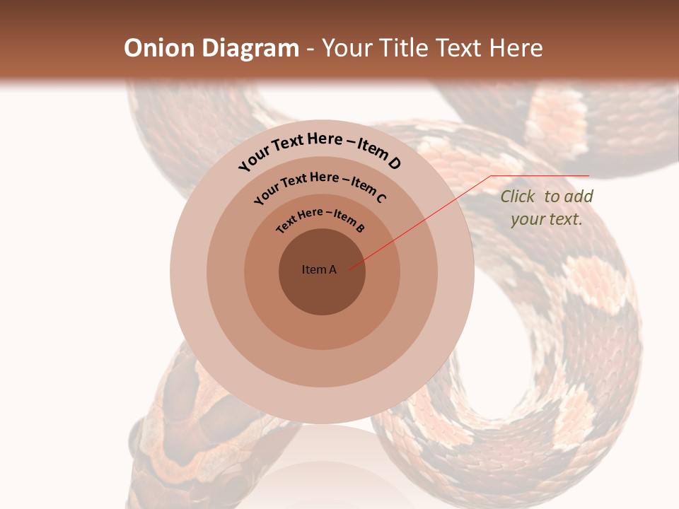 Red Rat Snake Isolated Slither PowerPoint Template