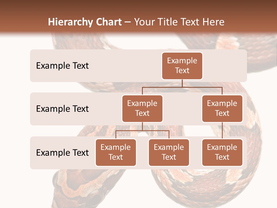 Red Rat Snake Isolated Slither PowerPoint Template
