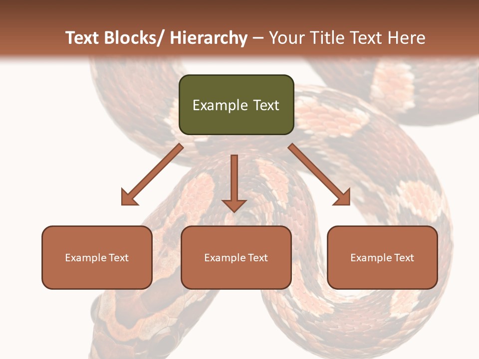 Red Rat Snake Isolated Slither PowerPoint Template