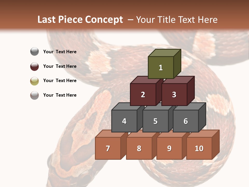 Red Rat Snake Isolated Slither PowerPoint Template