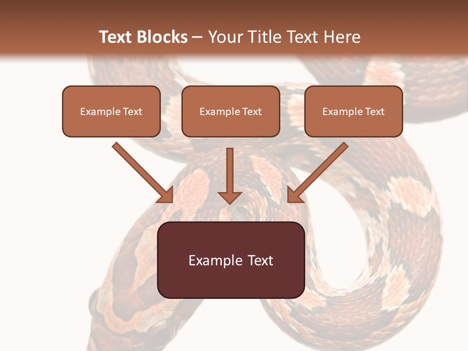 Red Rat Snake Isolated Slither PowerPoint Template