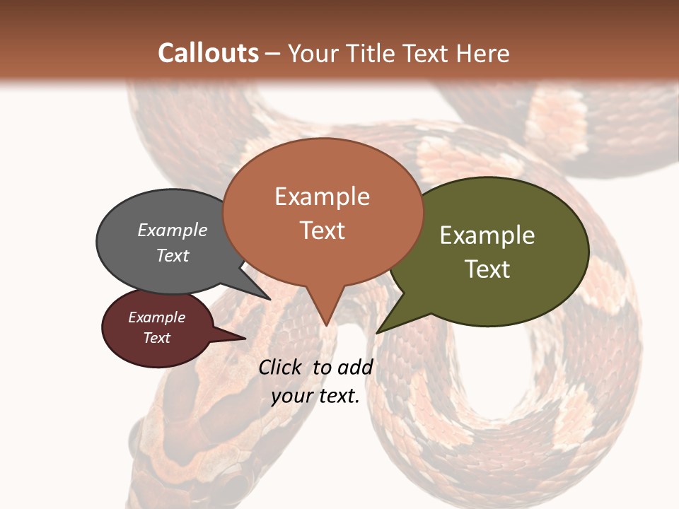 Red Rat Snake Isolated Slither PowerPoint Template