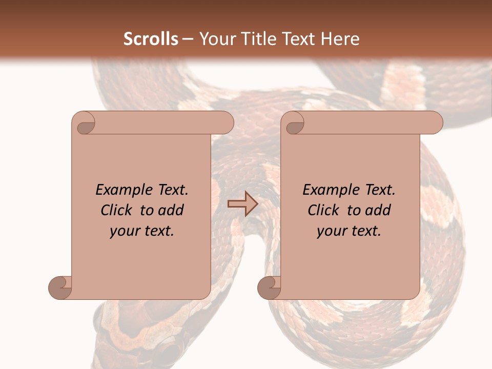 Red Rat Snake Isolated Slither PowerPoint Template