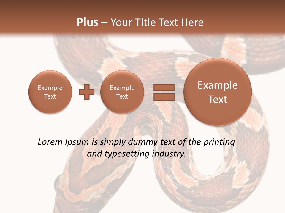Red Rat Snake Isolated Slither PowerPoint Template