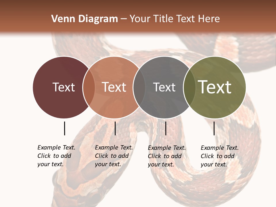 Red Rat Snake Isolated Slither PowerPoint Template