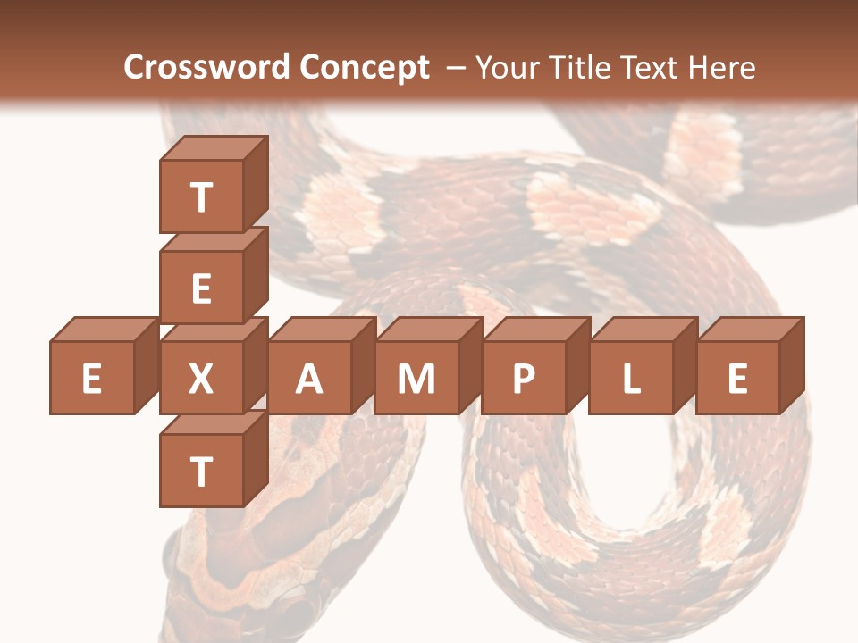 Red Rat Snake Isolated Slither PowerPoint Template