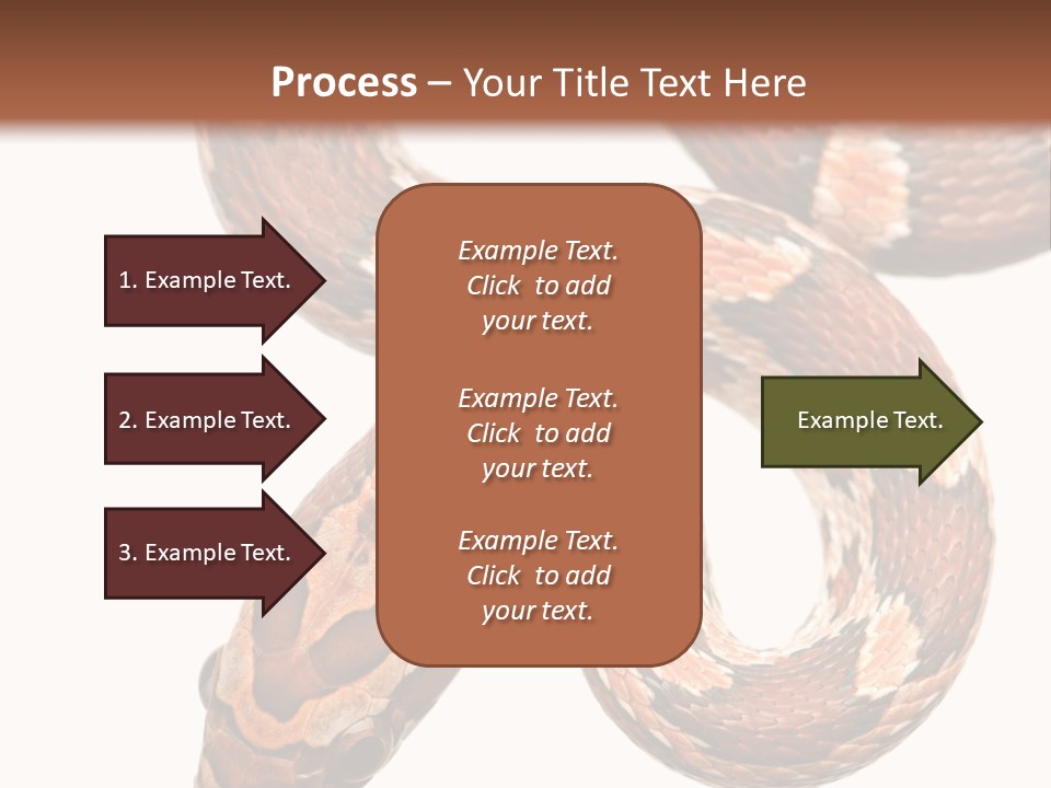Red Rat Snake Isolated Slither PowerPoint Template